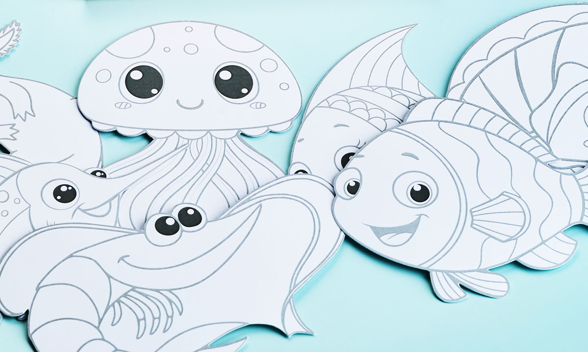 Творческий комплект раскрасок